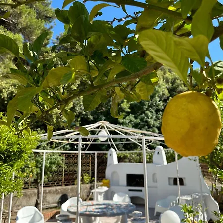 Carruba Ischia