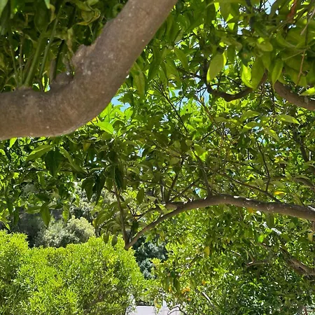 Bed & Breakfast Carruba