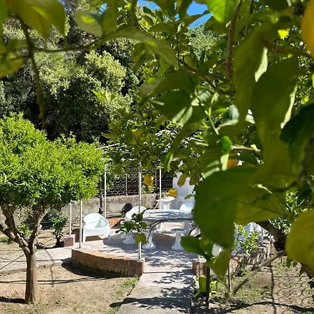 Carruba * Ischia