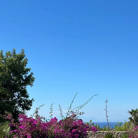 Carruba