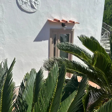 Carruba Ischia